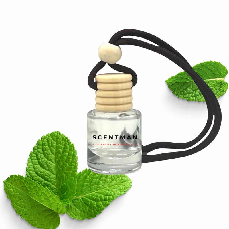 Car diffuser bottles